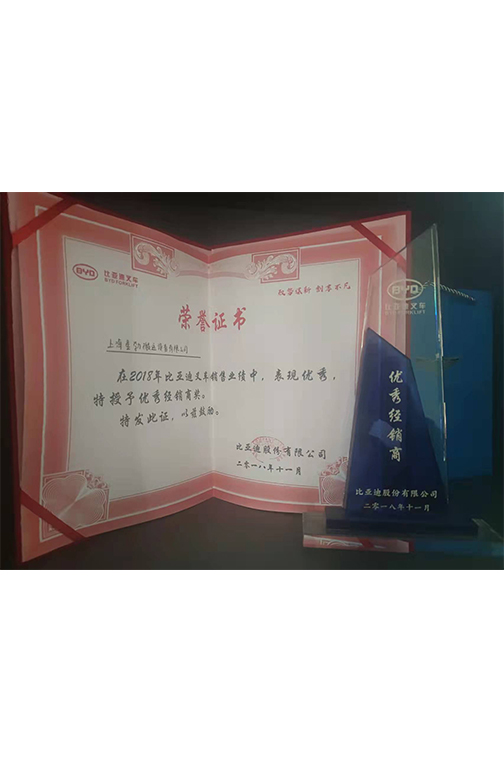 南通市比亚迪2018优秀经销商